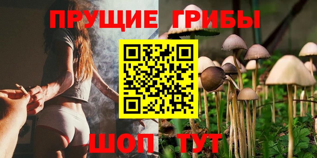 Галлюциногенные грибы мухоморы Сергиев Посад