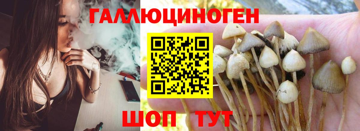 Сергиев Посад  Псилоцибиновые грибы Cubensis  Галлюциногенные грибы прущие грибы  Вход с VPN 
